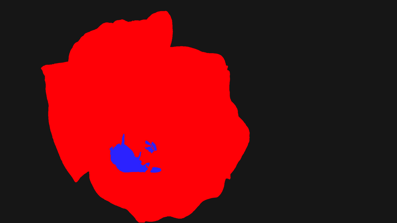 Flowers and multi-part bug in a flower