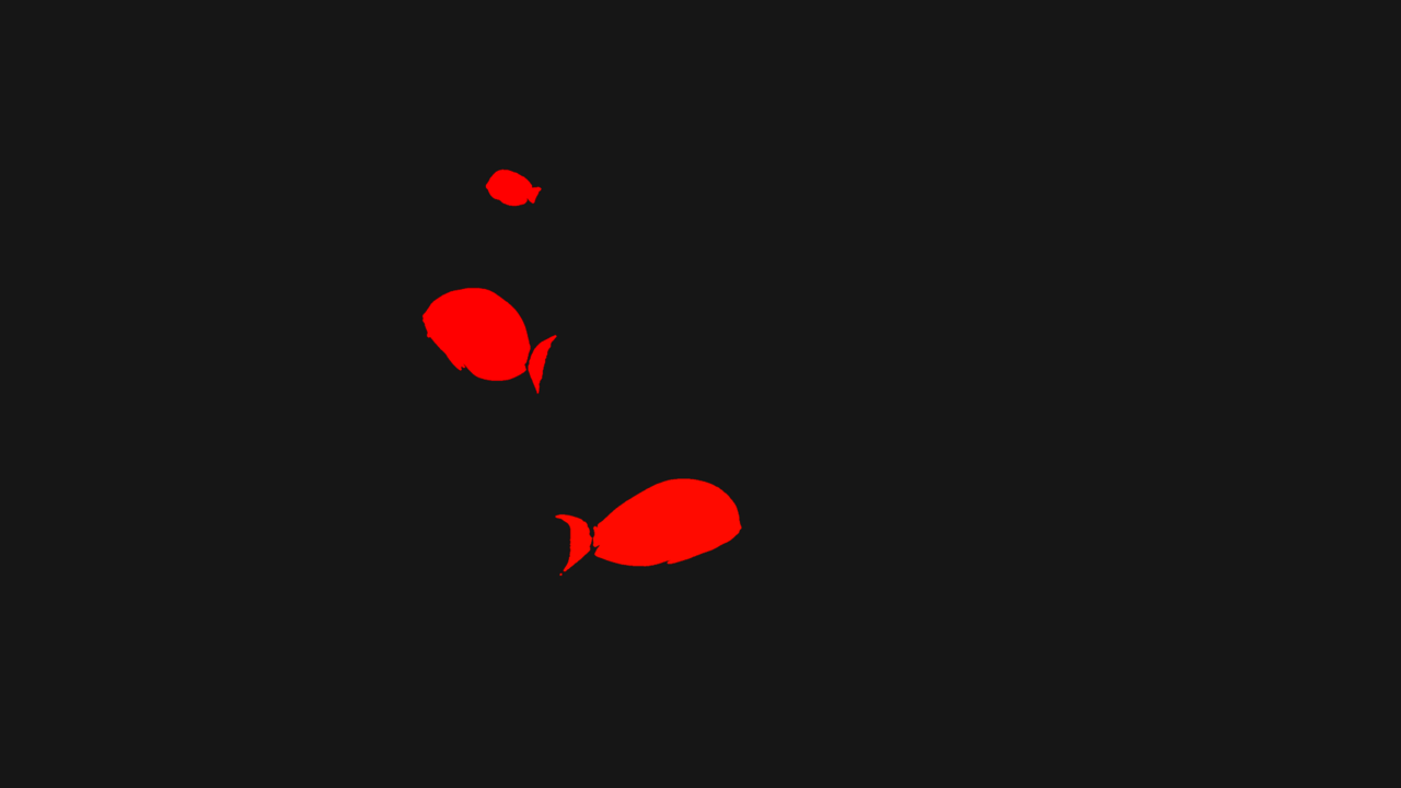 Egyptian Red sea reef fish