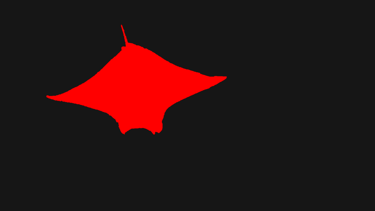 Manta ray